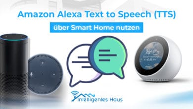 Alexa TTS über Smart Home nutzen